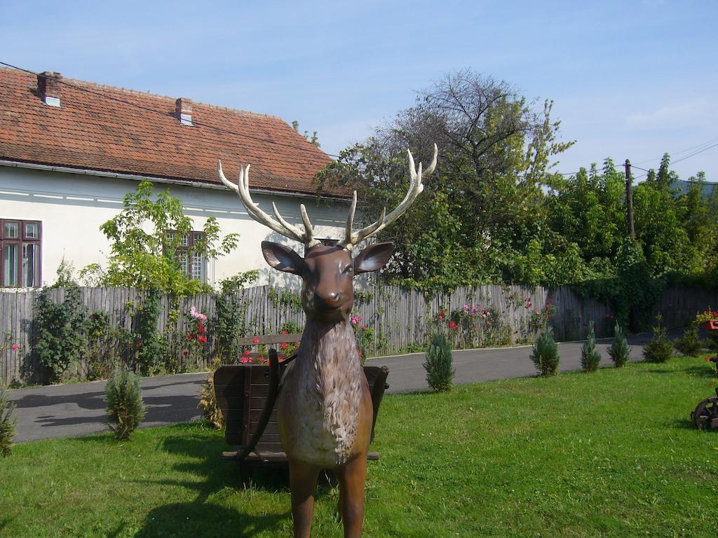 Pensiunea Mara Baiculesti Esterno foto